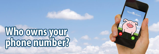 Port your phone number with local number portability