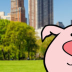Post a pic out with a pig and get a FREE NumberBarn TShirt