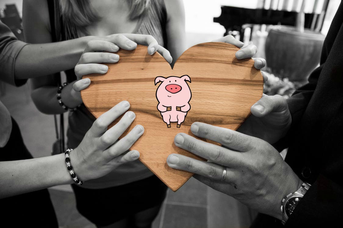 gift ideas for pig lovers