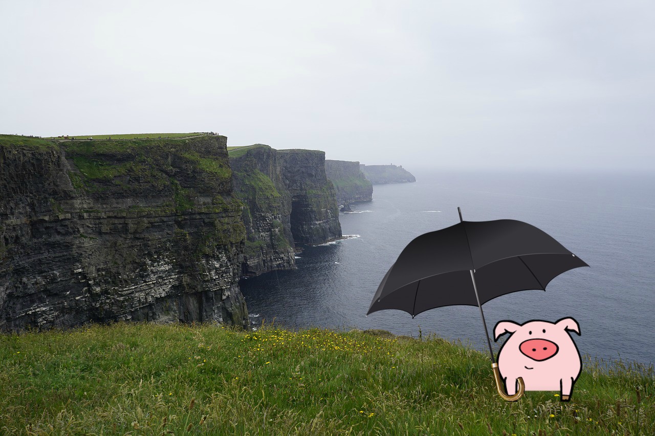 A Pig and a Jig in Galway, Ireland