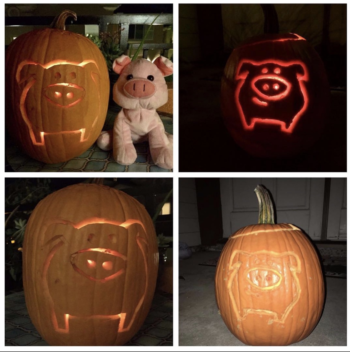 Carve A Pig Pumpkin Win NumberBarn Blog