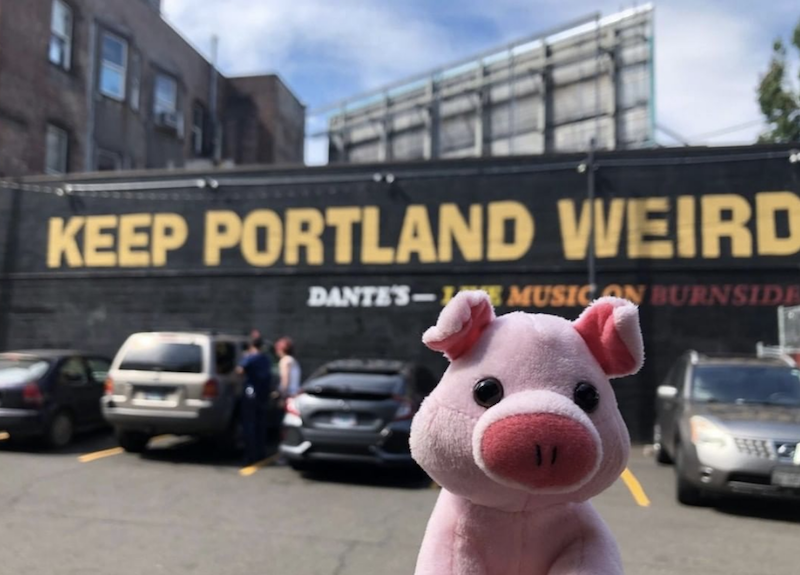 Go Anywhere With the Pig: 2019 Edition