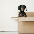 Keep your current landline number even when you move