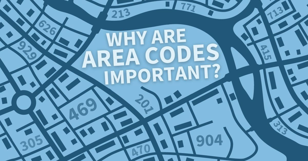 A graphic of an aerial view of a geographical grid like a map with the words "Why Are Area Codes Important?" on surrounded by different area codes on the map: 929, 305, 626, 469, 213, 201, 470, 771, 904, 713, 415, and 313.