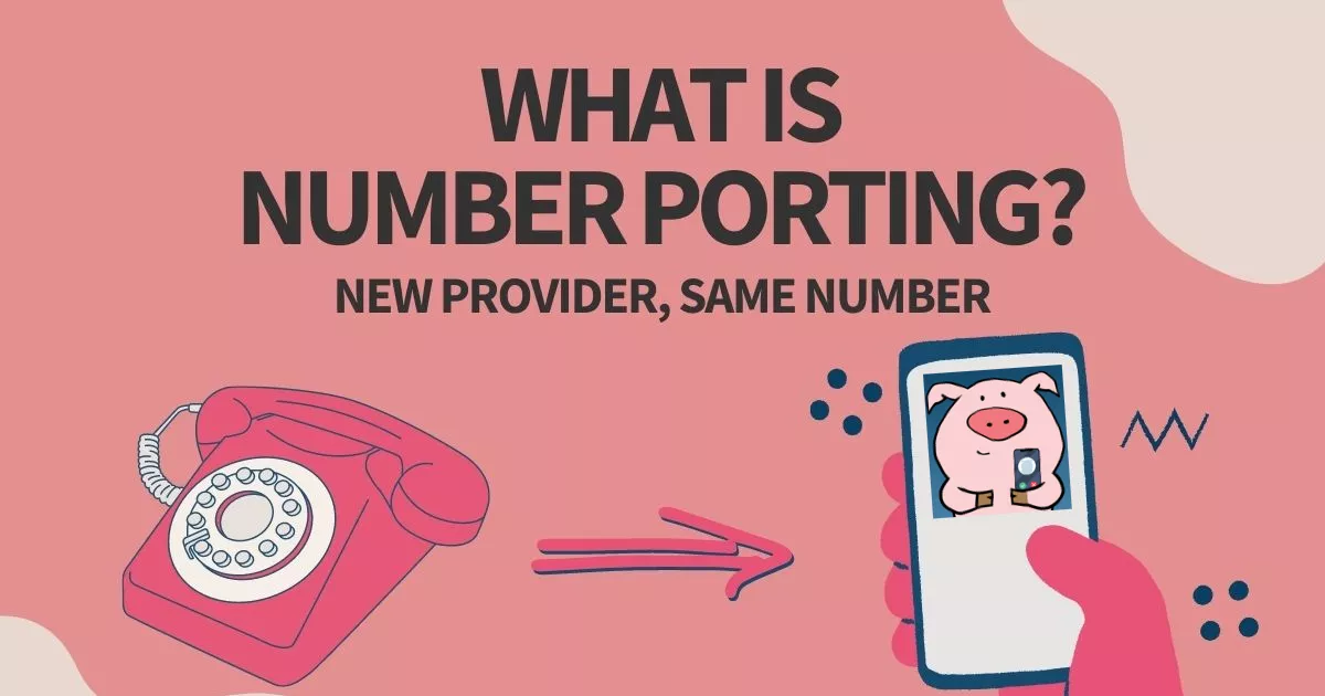 Banner image asking What is Number Porting