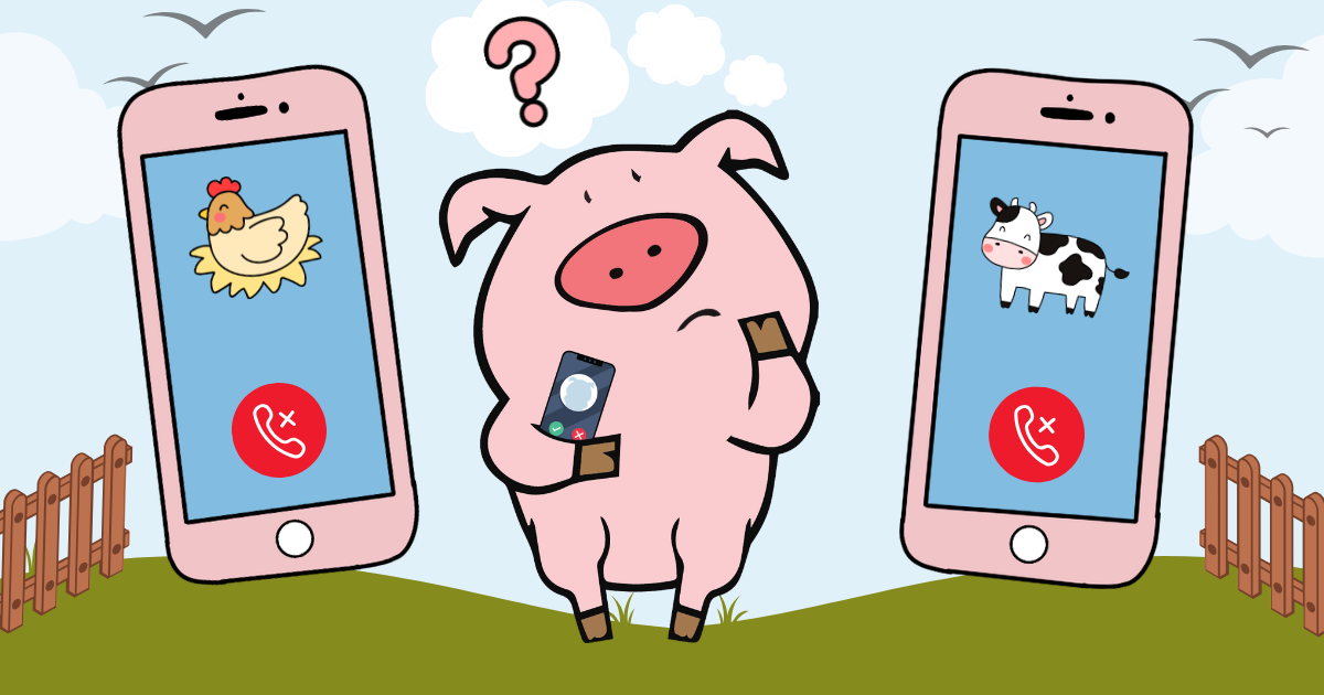 A confused portly the pig wonders about dropped calls