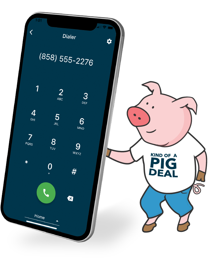 NumberBarn pig with a mobile phone