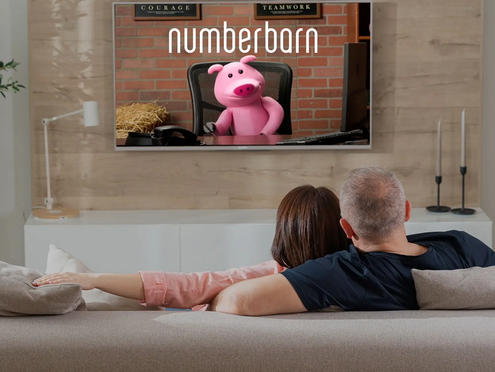 NumberBarn on TV