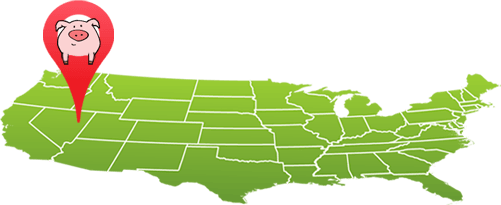 NumberBarn has local numbers in area codes across the US & Canada