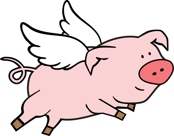 flying pig