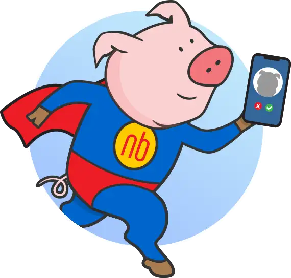 NumberBarn Super Pig